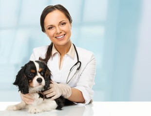 Young positive brunette veterinary woman with spaniel