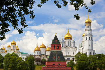 Fototapeta na wymiar Widok na Kreml. Rosja