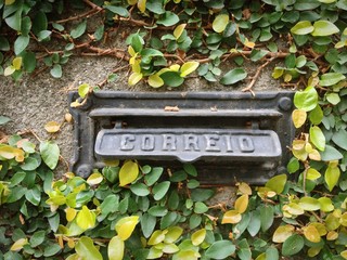 Post box on ivy wall, Brazil