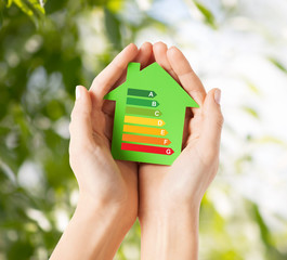 hands holding green paper house