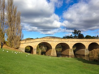 Fototapeta na wymiar Bricks bridge at the beautiful park