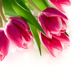 Obraz premium bouquet of tulips