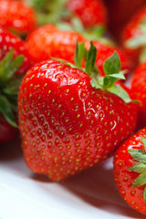 Lots of ripe perfect strawberries.