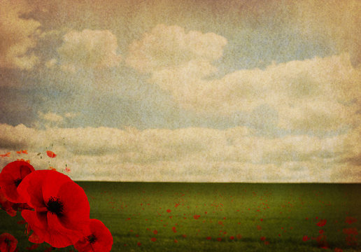 WW1 First World War Abstract Background with Poppies