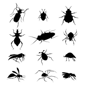 Insects-Vector