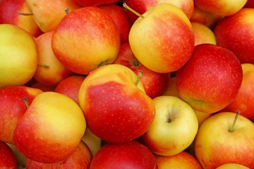 ripe red apples in a heap