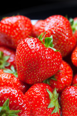 Lots of ripe perfect strawberries