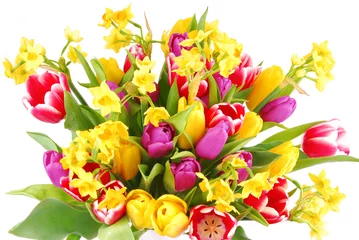 Crédence de cuisine en verre imprimé Narcisse bouquet of tulip and daffodils flowers isolated on white
