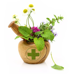 Fototapety  Wooden mortar with pharmacy cross and fresh herbs