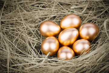 Gold Eggs