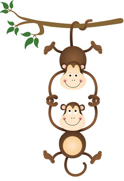 Monkey hanging and holding monkey