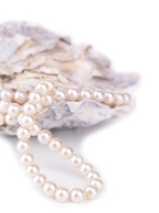 Shell with pearls, isolated on white © Africa Studio