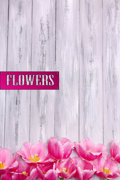Fototapeta Beautiful flowers on color wooden background
