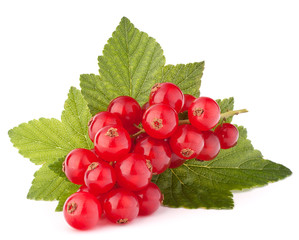 Red currants and green leaves still life