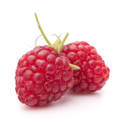 Sweet raspberry isolated on white background cutout