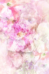 Pretty summer flowers, grungy background