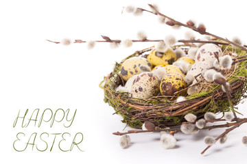 Easter egg in the nest