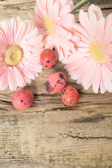 Easter eggs with gerbera daisy flowers