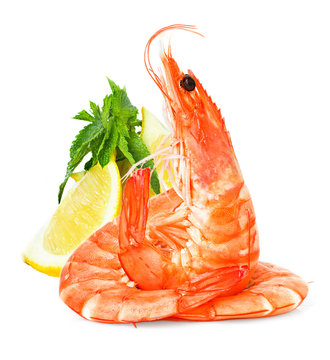 fresh shrimps with lemon and mint isolated