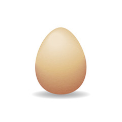 Egg realistic orange on a white background.