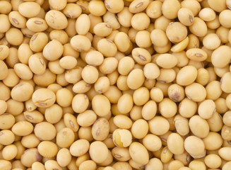 soy bean pattern as background