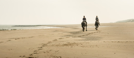 Horseback riding on the beach early in the morning - obrazy, fototapety, plakaty