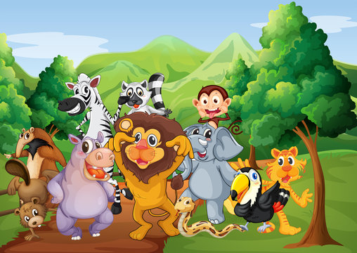 A group of animals at the jungle