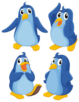 Four blue penguins