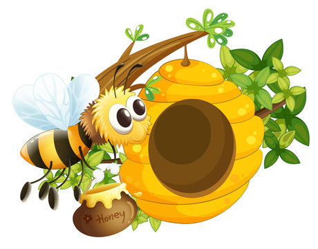 A bee near the beehive