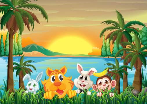 Animals at the riverbank with coconut trees