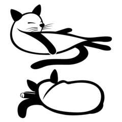 Cat signs.