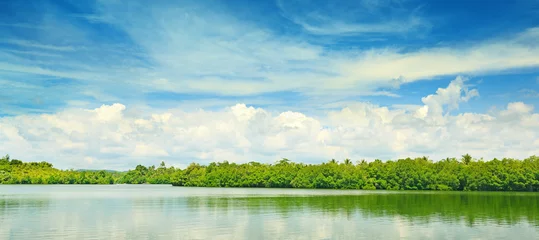Foto op Plexiglas Equatorial mangroves © Serghei V
