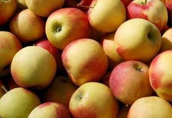apples