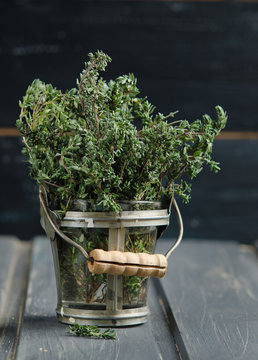 Thyme herb plant in a vase