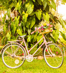 Fototapeta na wymiar Bicycle decoration
