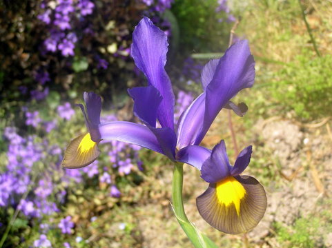 JARDINERIA