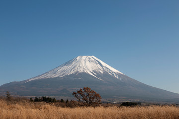 Fototapeta premium 秋の朝霧高原