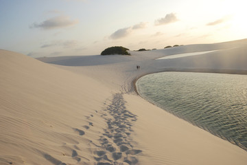 deserto brasiliano