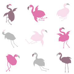 Personnages humoristiques flamants roses 2