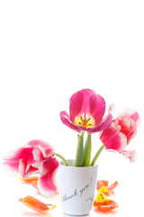 Obraz na płótnie Canvas beautiful tulips in a vase with gratitude