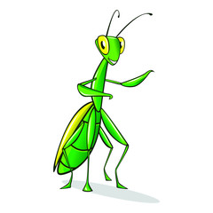 Cartoon Mantis