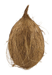 Coconuts isolated on white background