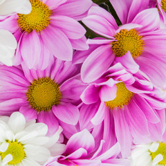 Bunch of flowers