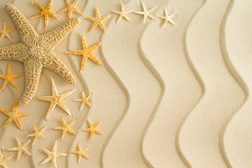 Fototapeta na wymiar Rozgwiazdy na złotym piaskiem plaży z faliste linie