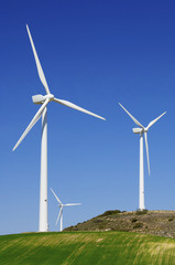 Fototapeta premium wind energy