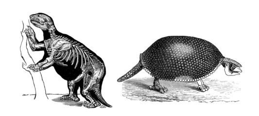 2 Prehistoric Animals © Erica Guilane-Nachez