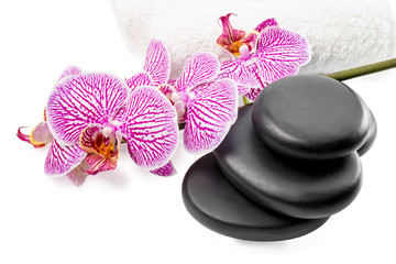 Spa still life with stripped orchid,  black stones and white tow