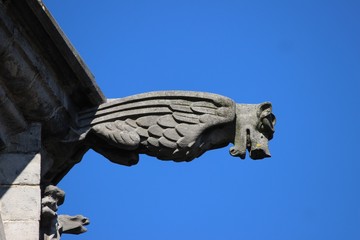 Gargouille de la Coll&eacute;giale Ste Waudru de Mons ( Belgique )