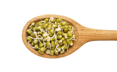 Mung beans sprouts