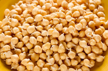 Chickpea sprout